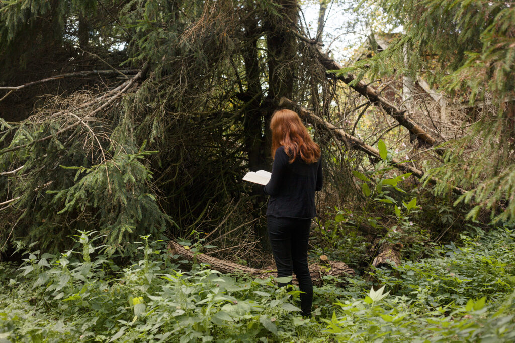 Tyttö lukee puun juurella metsässä, taidekuva