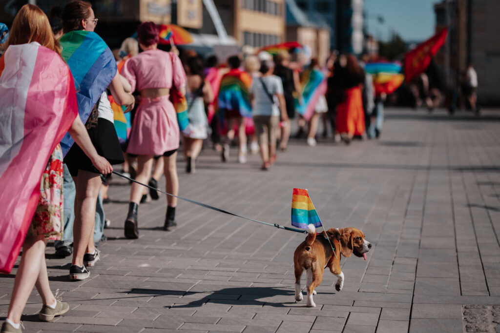 Kuopion Pride-kulkue keskustassa, koira pride-lipun kanssa