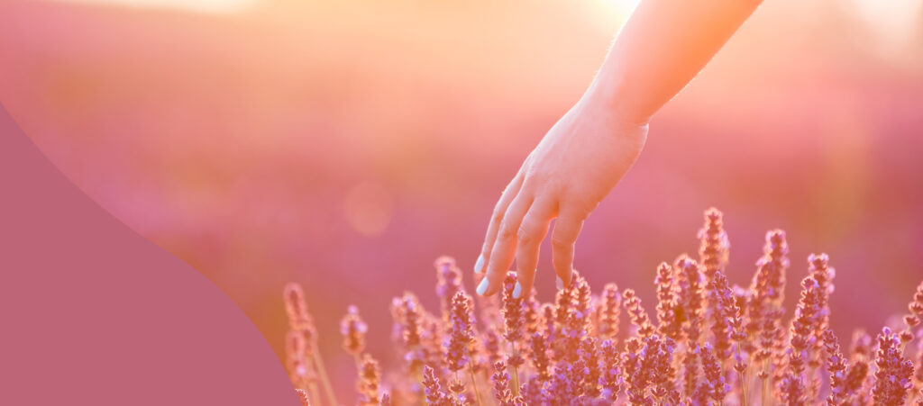 Vaalenpunasävyinen kuva jossa käsi koskettaa kukkia.