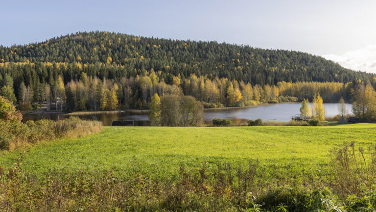 Syksyinen maisema, taustalla Vanuvuori, etualalla vihreää nurmea.