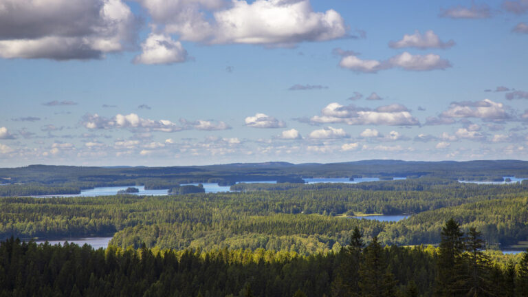 Järvi- ja metsämaisema kesäisenä päivänä.