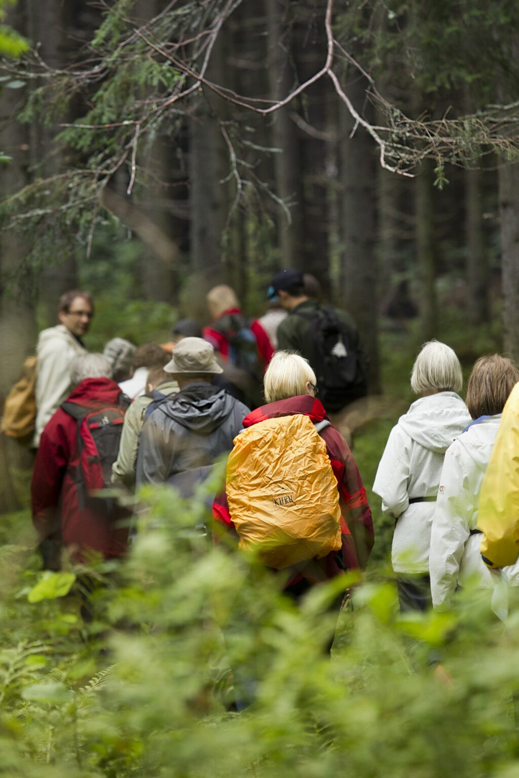 Ikäihmisiä metsäretkellä