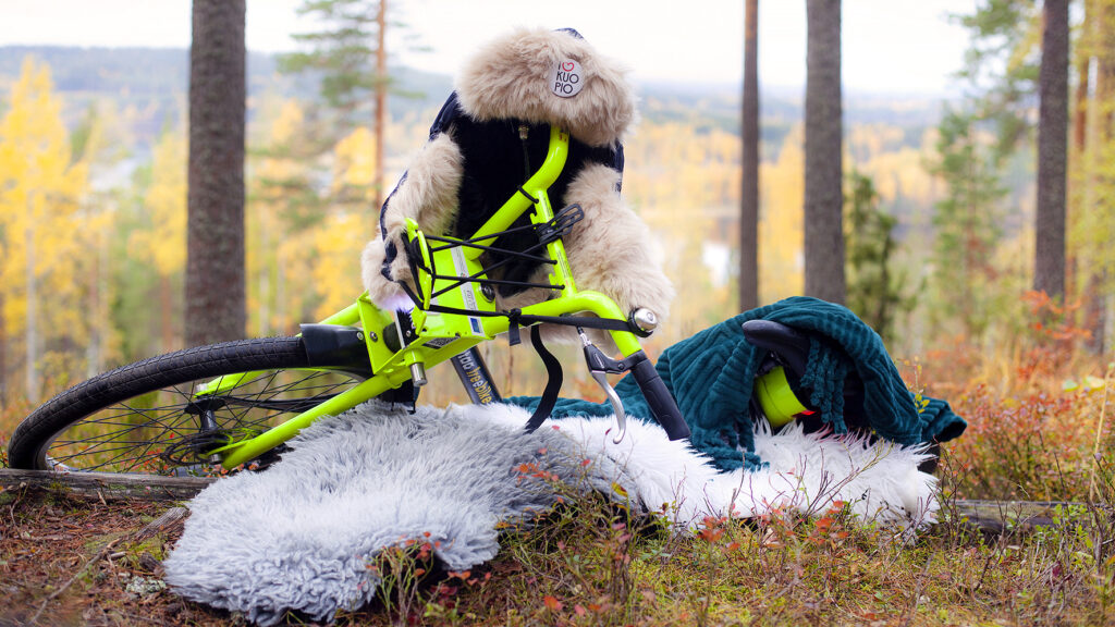 Syksyinen metsämaisema, vilkku-fillari eli kaupunkipyörä kuvan etualalla kaatuneena. Pyörän tangossa karvahattu ja edessä vaalea talja.