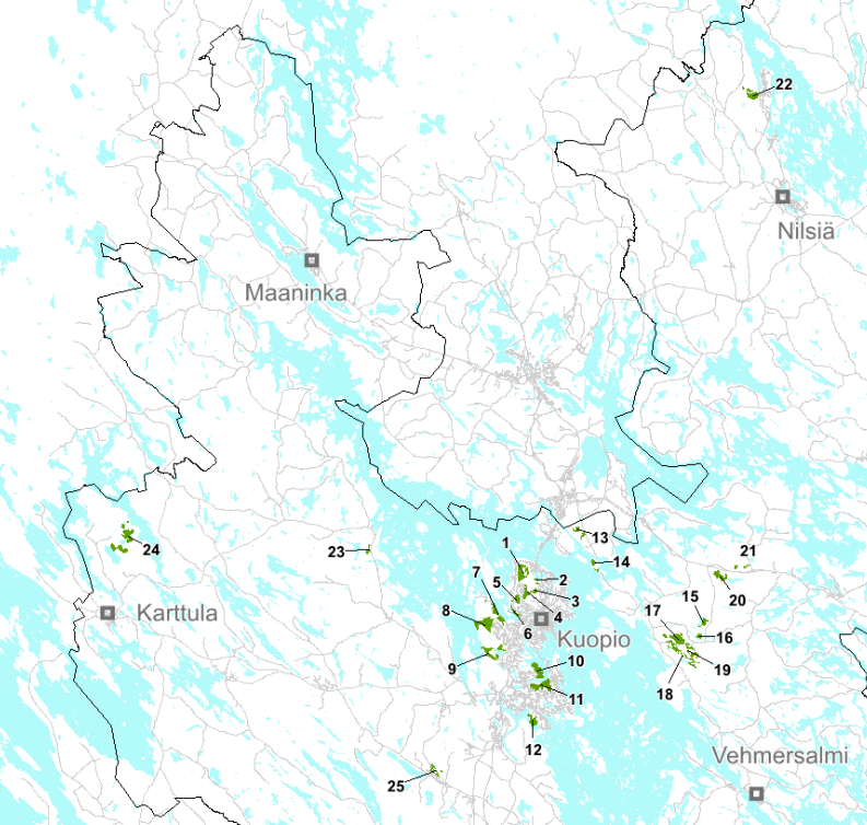 Kuopion vuoden 2024 METSO-selvityksen kohdealueet kartalla.