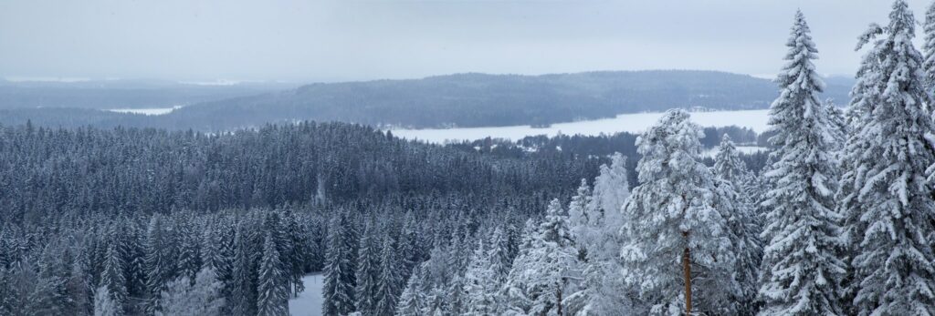 Talvinen metsämaisema Puijolta kuvattuna.