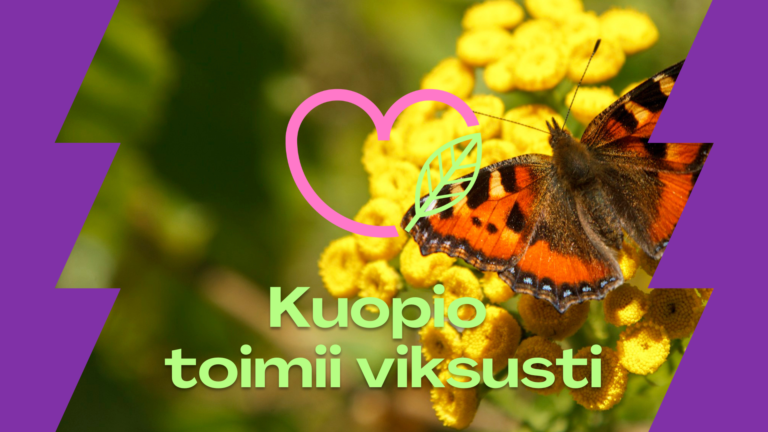 Kuopio toimii viksusti -teksti, taustalla perhonen ja keltaisia kukkia.