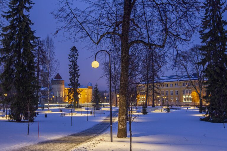 Snellmaninpuistoa talvisessa iltahämärässä.