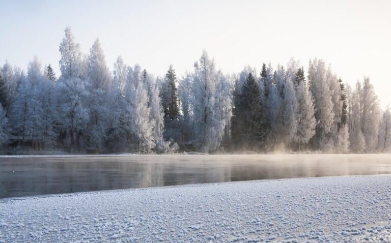 Talvinen metsämaisema