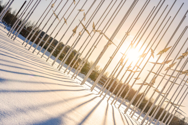 Linnut pyrähtävät korkeuksiin veistoksellisessa Lentoon-taideteoksessa talvisella järven jäällä auringon paistaessa.